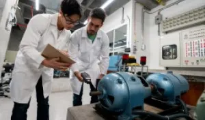 Work Permits Consultation